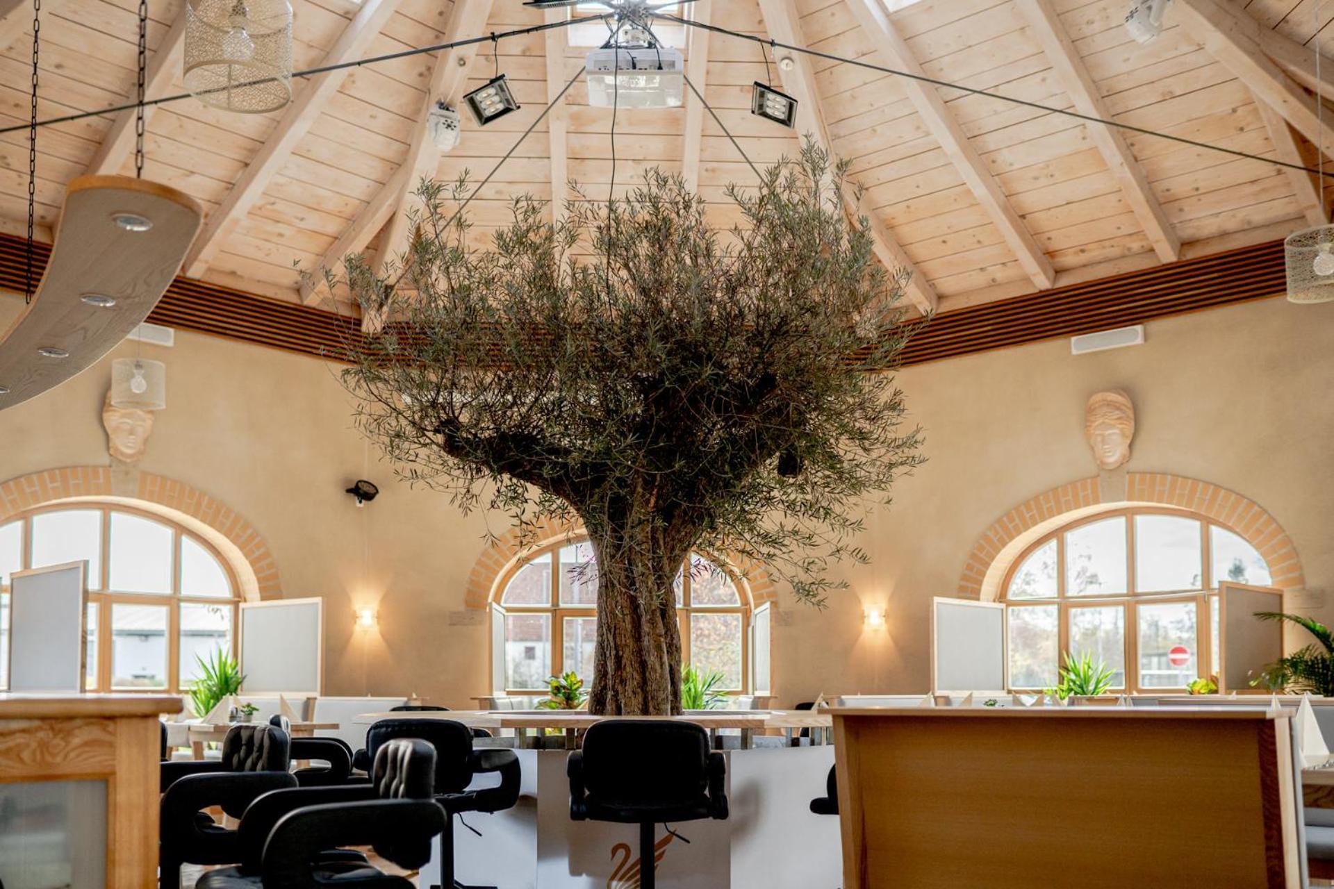 Hotel Donau-ries 3*